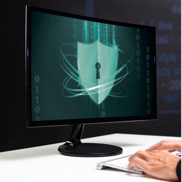Visual de seguridad de datos